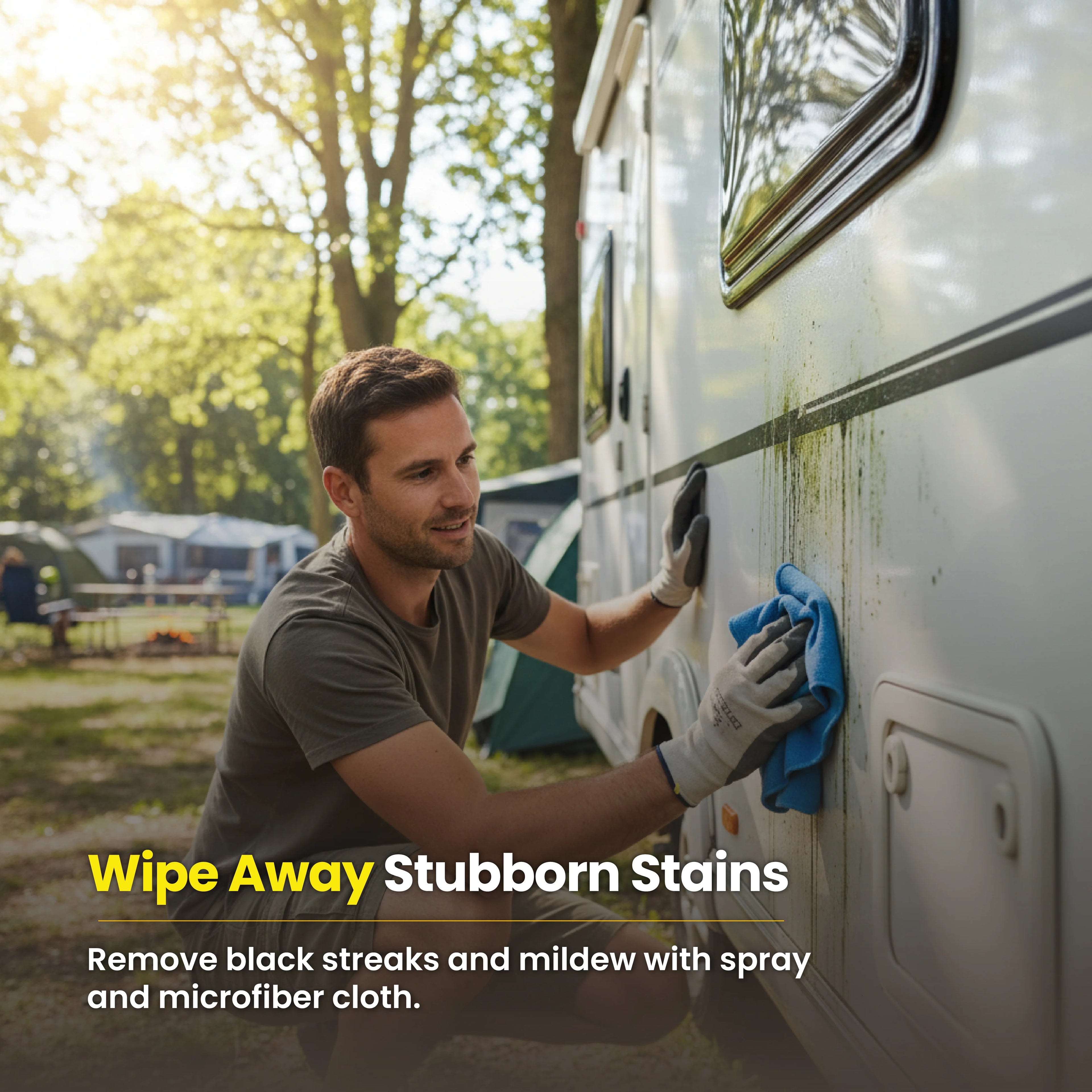 Protex Caravan & Motorhome Black Streak Remover 750ml